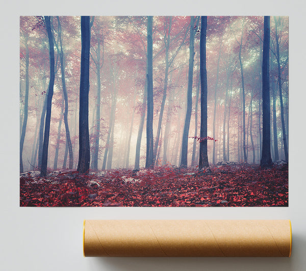 Misy In The Red Forest Giclee Print