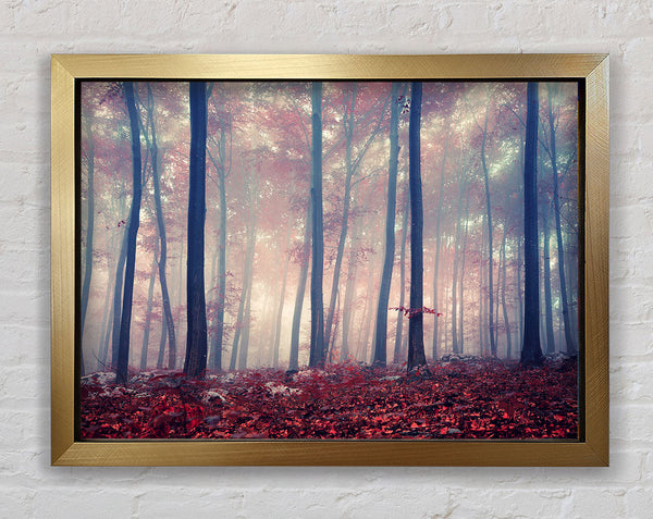 Misy In The Red Forest Framed Print