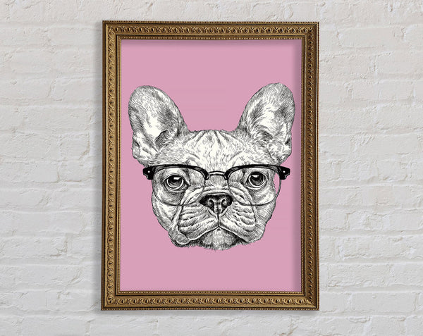 French Bulldog In Glasses Framed Print