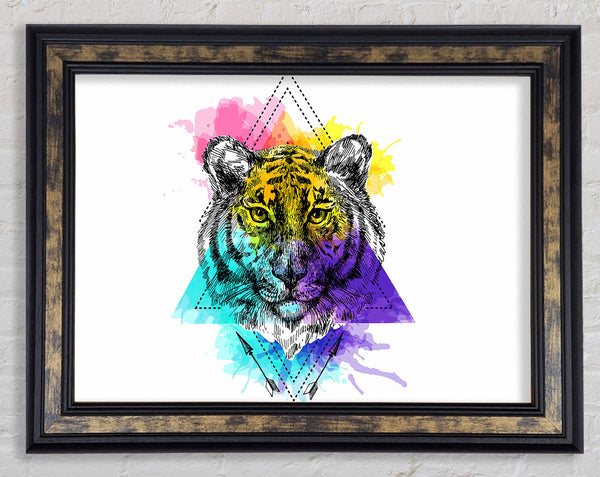 Tiger Paint Splat Framed Print