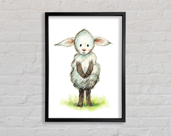 Shy Sheep Framed Print