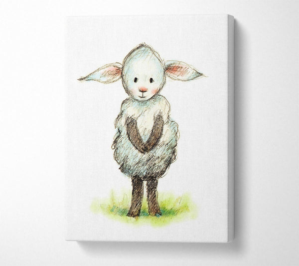  A Canvas Print of Shy Sheep Canvas Art