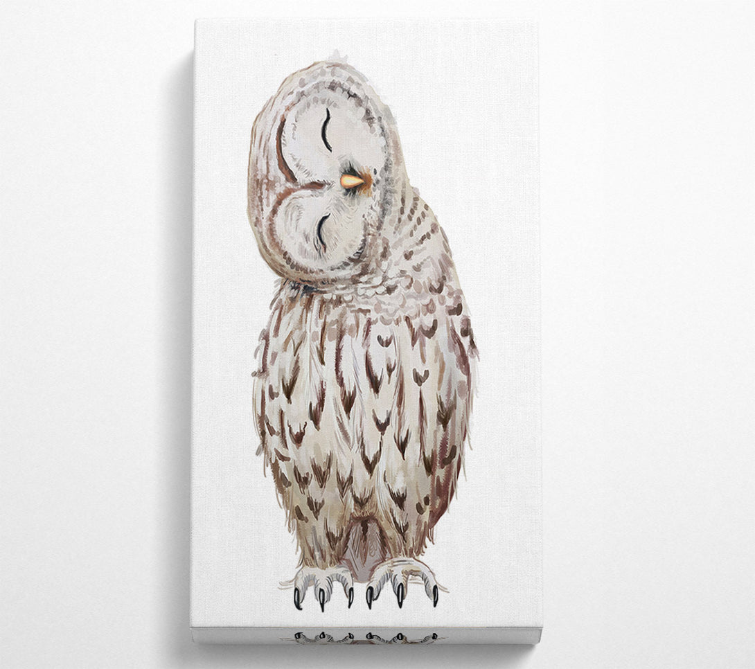  A Canvas Print of Owl Feathers Canvas Print