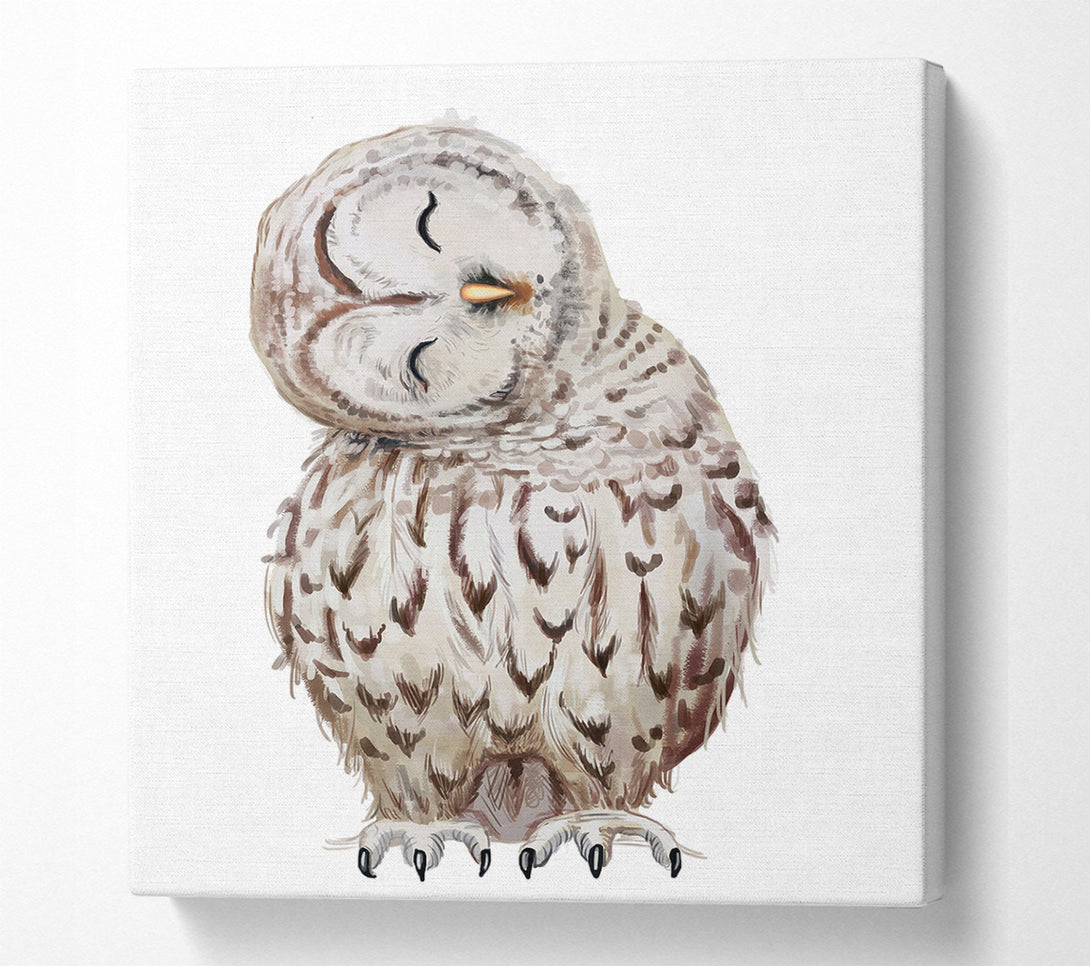  A Canvas Print of Owl Feathers Canvas Print