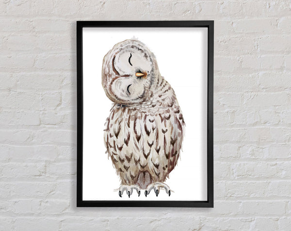Owl Feathers Framed Print
