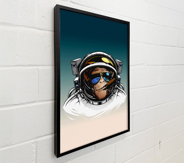 Astronaut Monkey