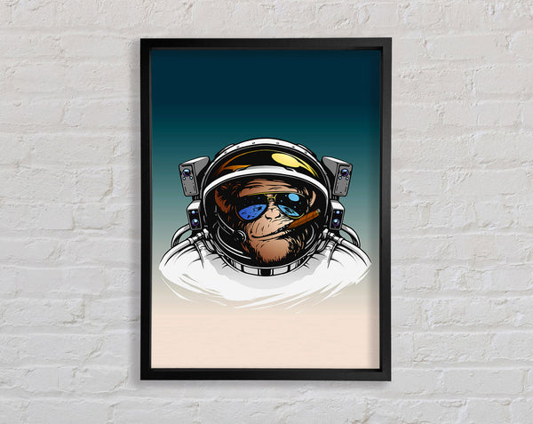 Astronautenaffe