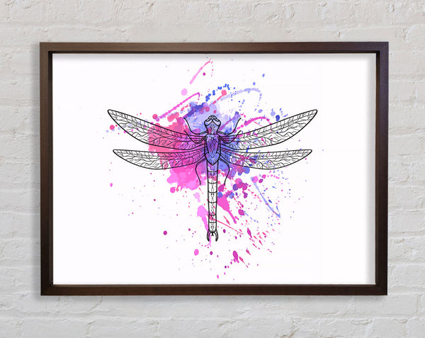 Dragonfly Splash Framed Print