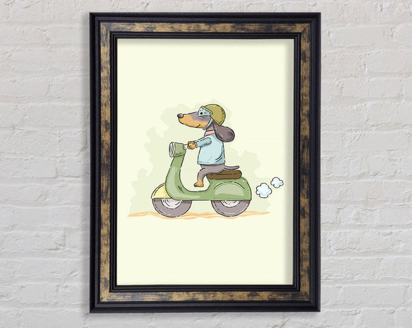 Scooter Dog Framed Print