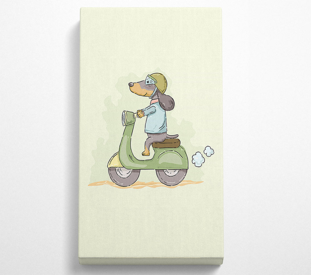  A Canvas Print of Scooter Dog Canvas Art