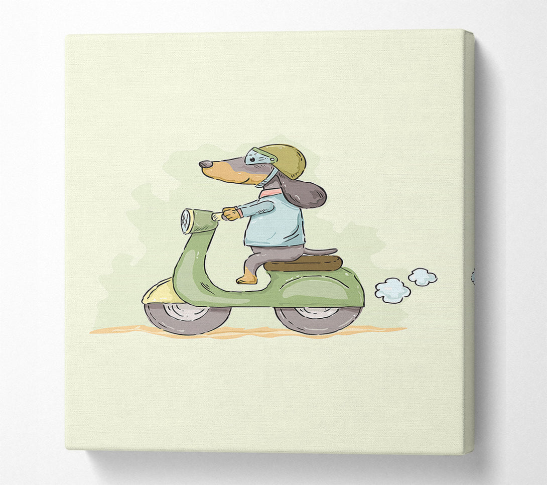 A Canvas Print of Scooter Dog Canvas Art