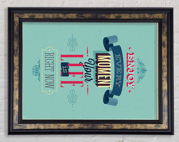 Enjoy Every Moment Framed Print