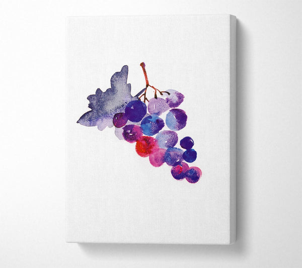  A Canvas Print of Wine Grapes Canvas Art