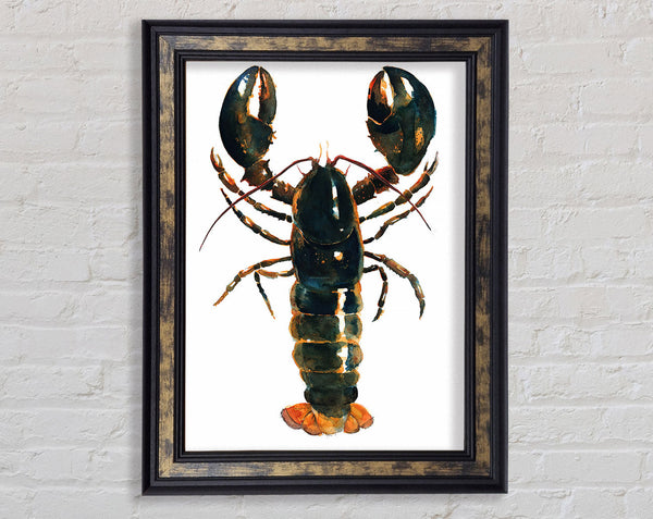 Lobster Framed Print