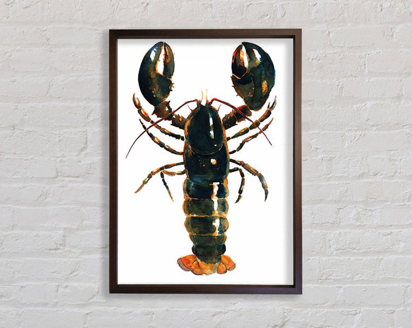 Lobster Framed Print
