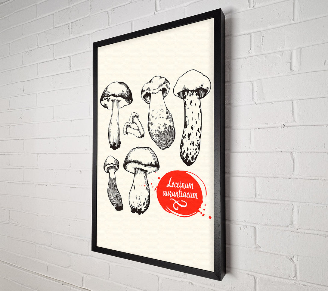  A Canvas Print of Mushrooms Canvas Print