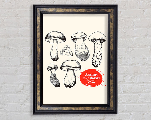 Mushrooms Framed Print