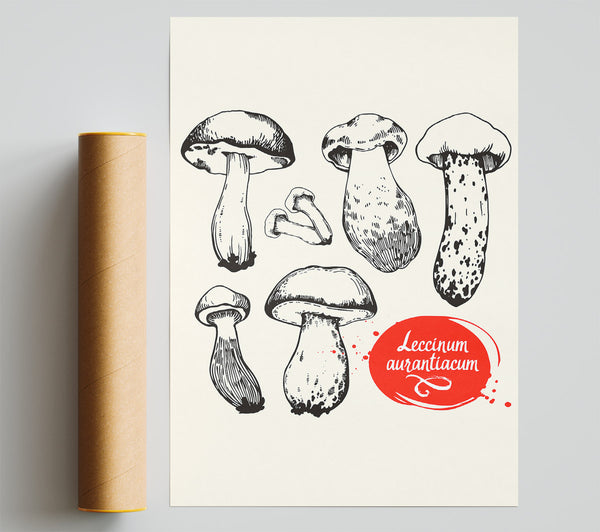 Mushrooms Giclee Print