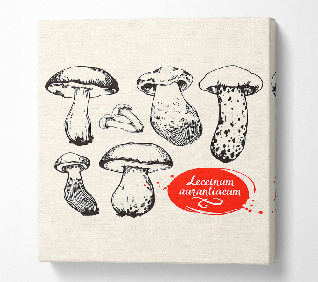  A Canvas Print of Mushrooms Canvas Print
