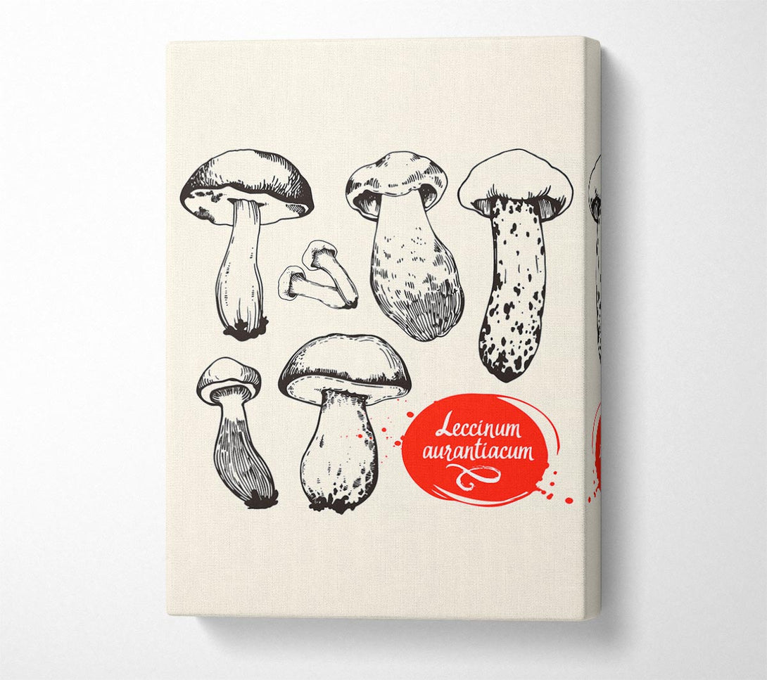  A Canvas Print of Mushrooms Canvas Print