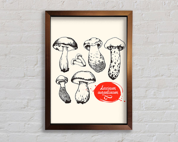 Mushrooms Framed Print