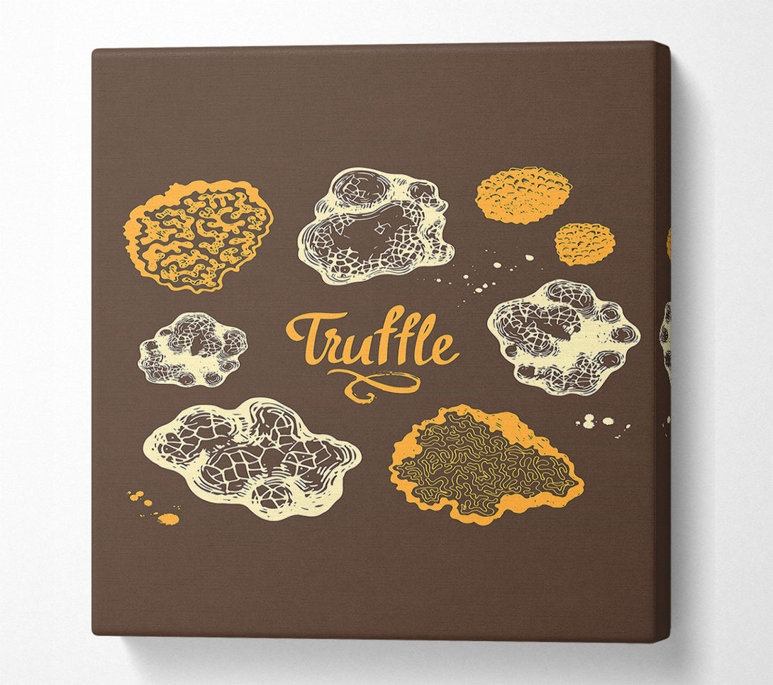  A Canvas Print of Truffle Canvas Wall Art