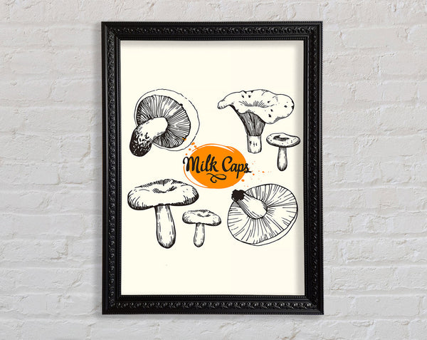 Milk Cap Mushrooms Framed Print