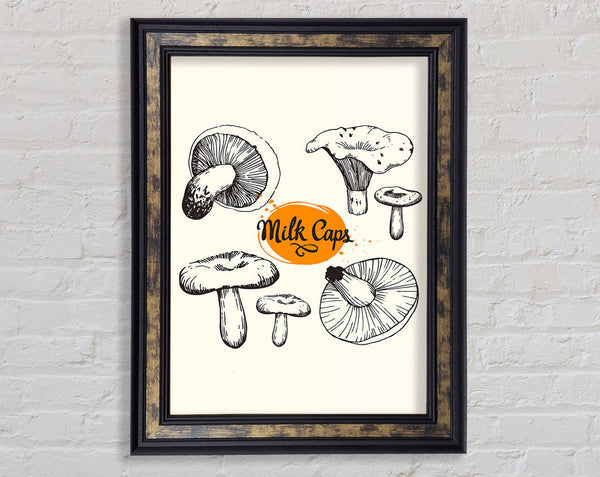 Milk Cap Mushrooms Framed Print