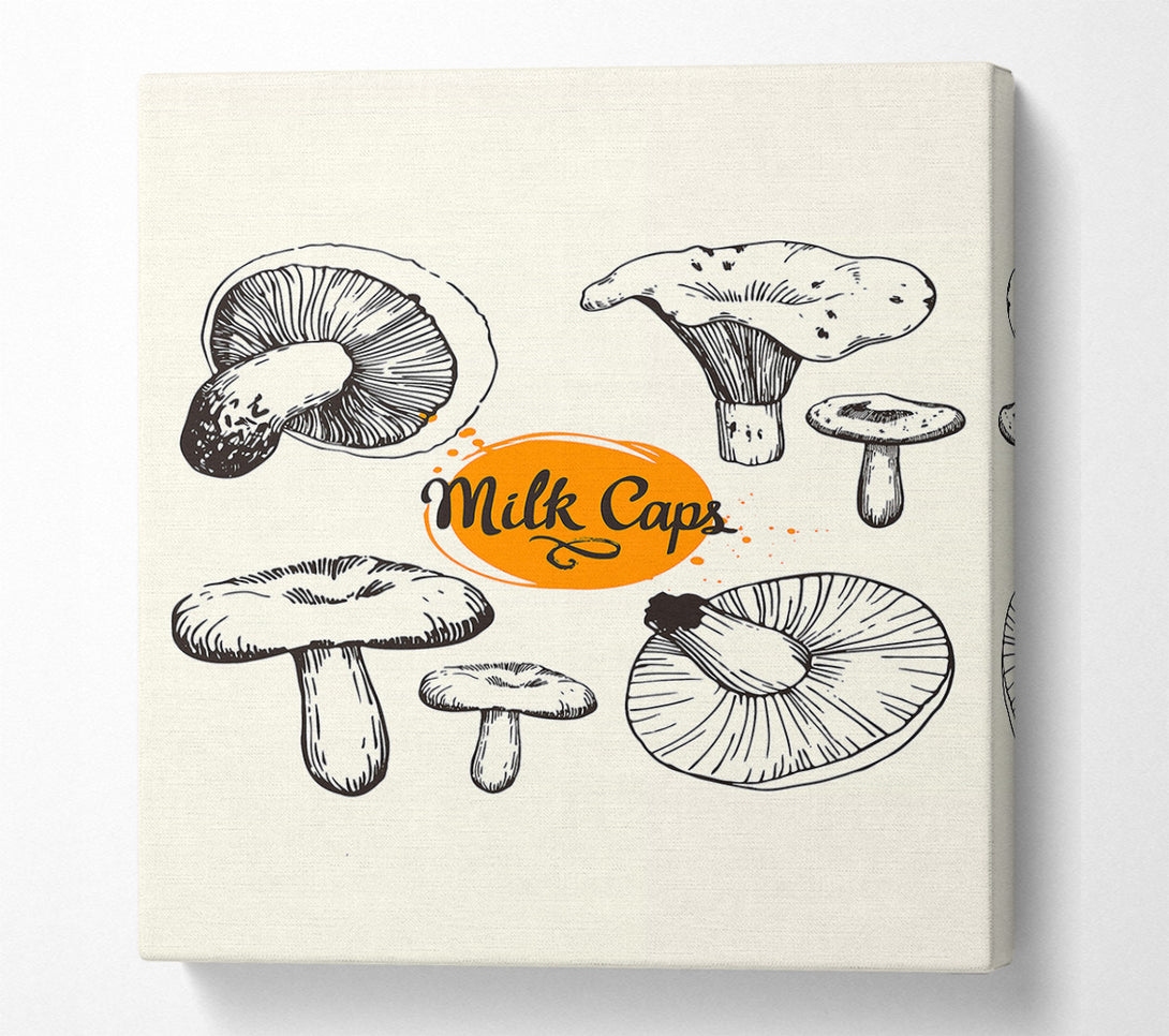  A Canvas Print of Milk Cap Mushrooms Canvas Wall Art
