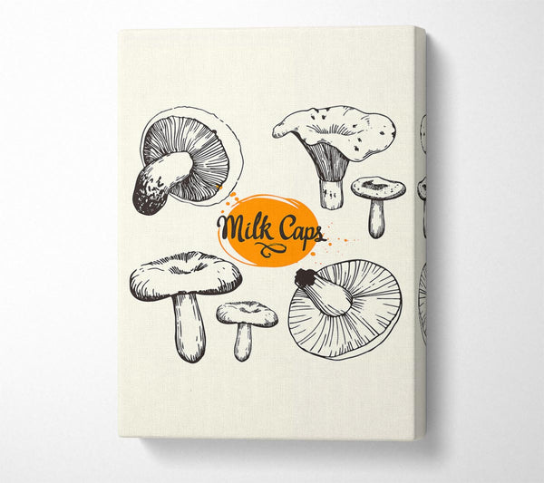  A Canvas Print of Milk Cap Mushrooms Canvas Wall Art