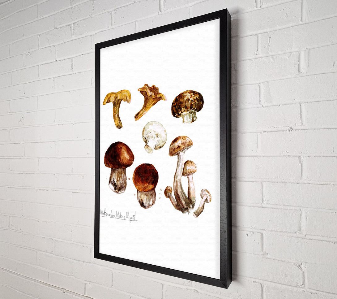  A Canvas Print of Different Types Of Mushrooms Canvas Wall Art
