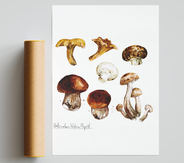 Different Types Of Mushrooms Giclee Print