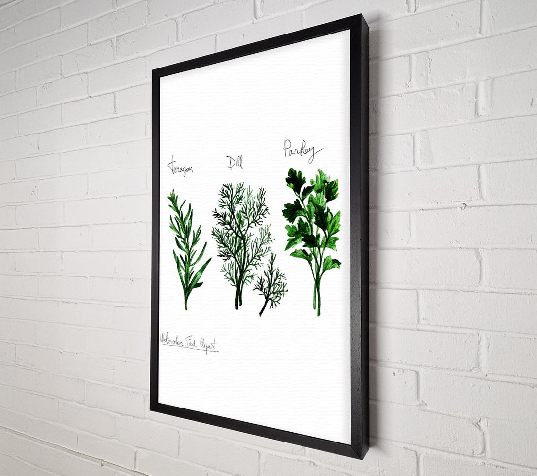  A Canvas Print of Herb Selection 1 Canvas Art
