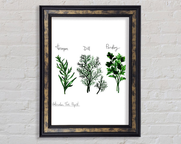 Herb Selection 1 Framed Print