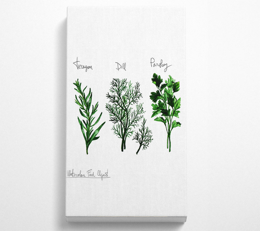  A Canvas Print of Herb Selection 1 Canvas Art