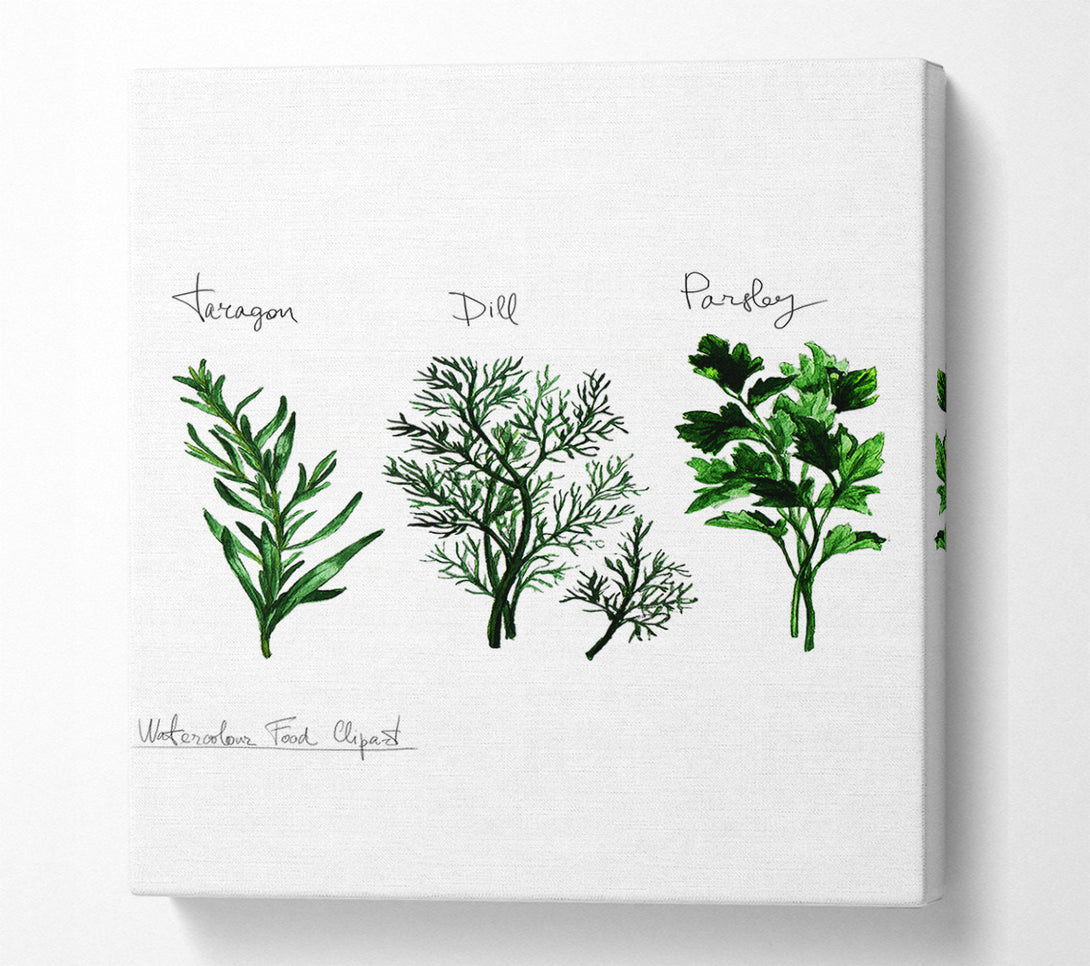  A Canvas Print of Herb Selection 1 Canvas Art