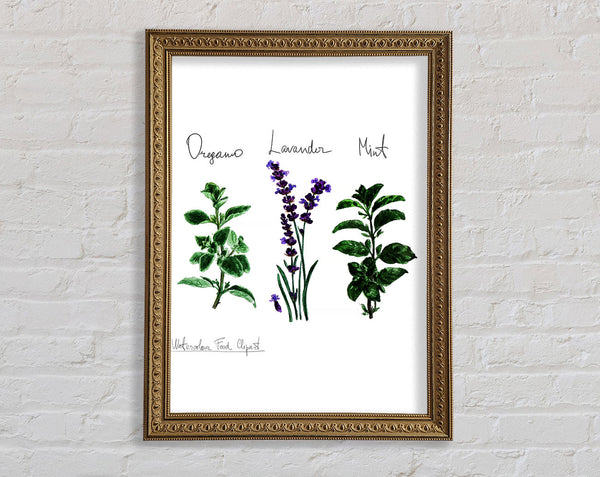 Herb Selection 2 Framed Print