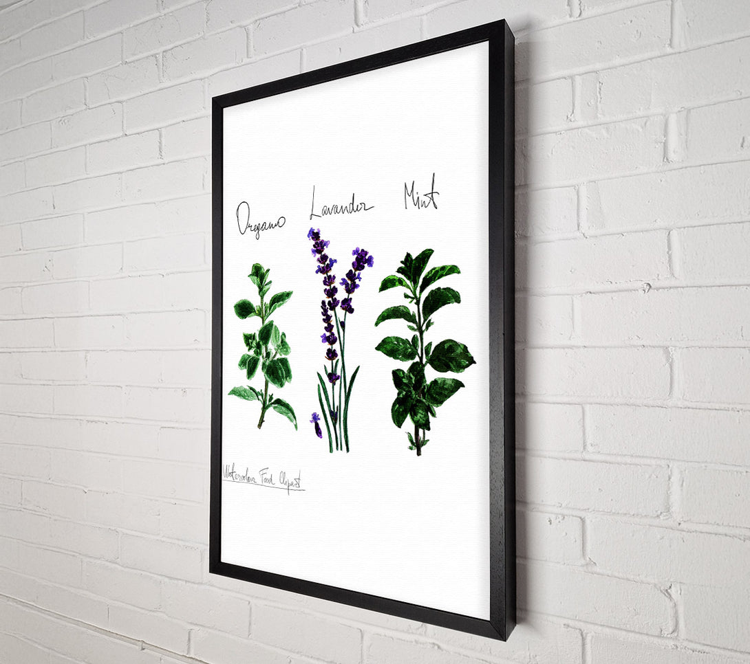  A Canvas Print of Herb Selection 2 Canvas Art