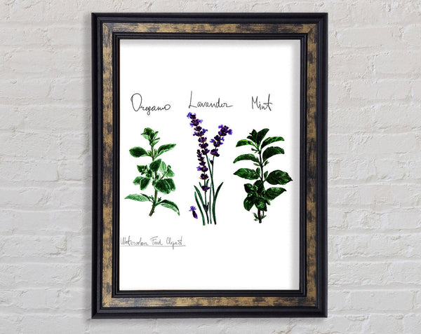 Herb Selection 2 Framed Print