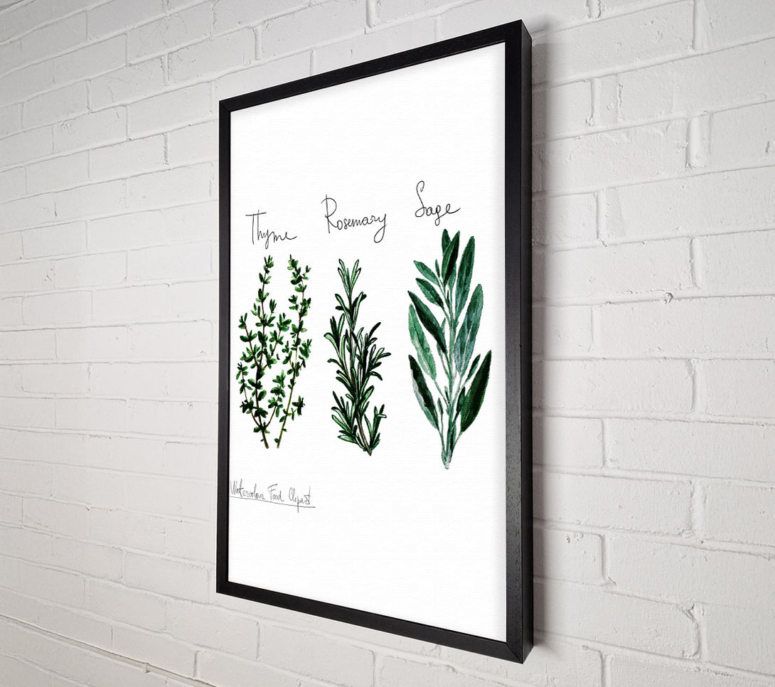  A Canvas Print of Herb Selection 3 Canvas Print