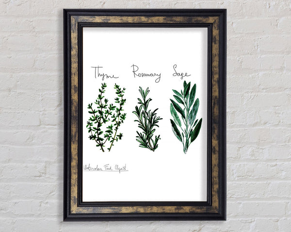 Herb Selection 3 Framed Print