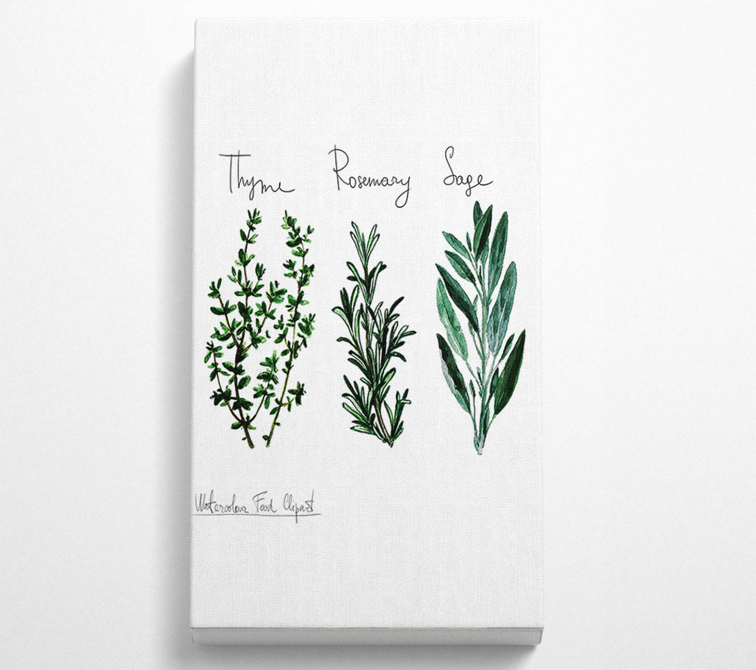  A Canvas Print of Herb Selection 3 Canvas Print