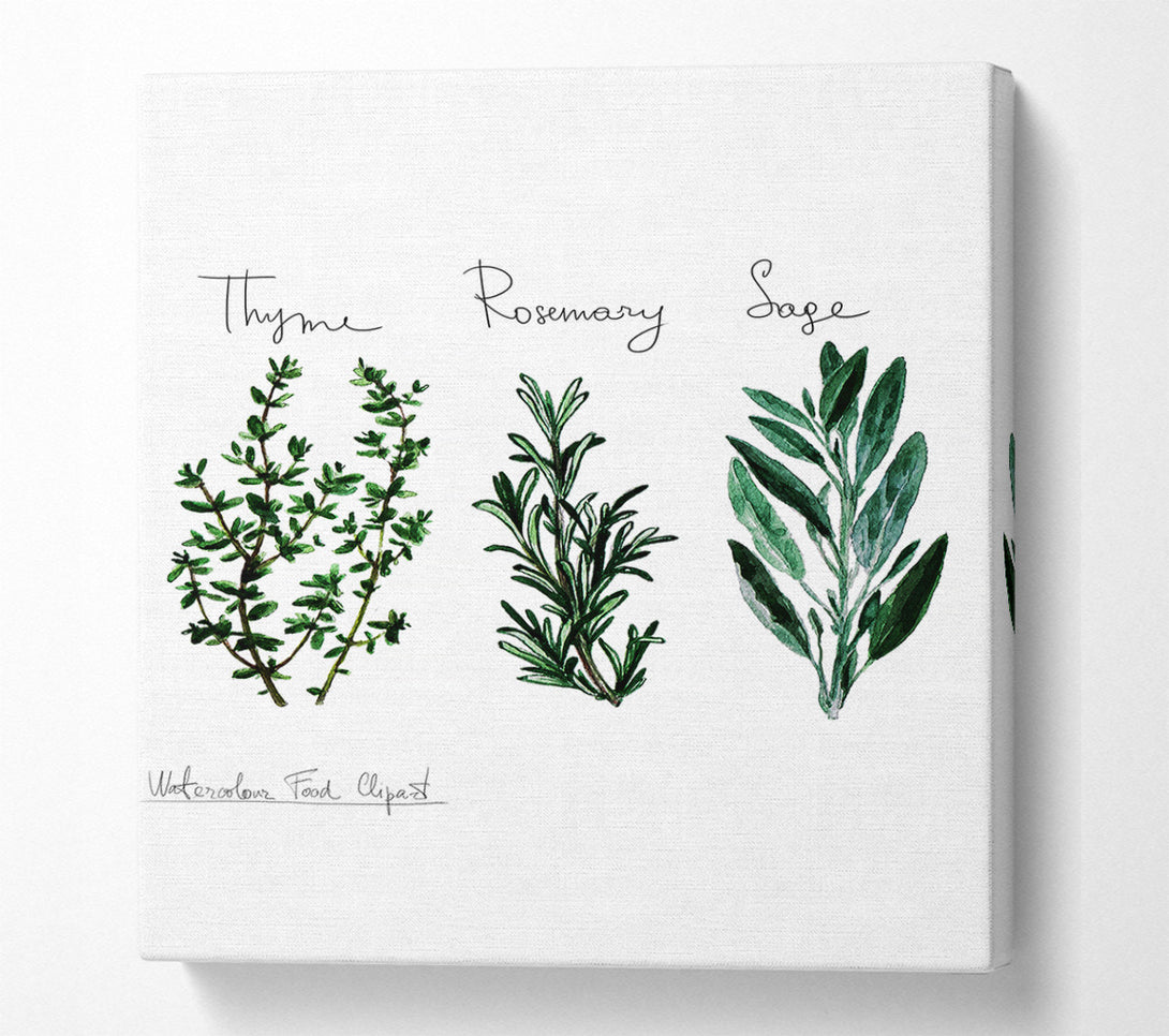  A Canvas Print of Herb Selection 3 Canvas Print