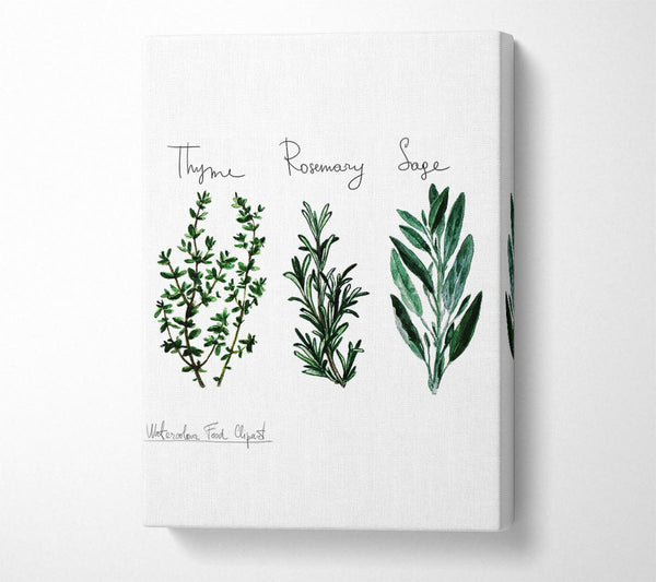  A Canvas Print of Herb Selection 3 Canvas Print