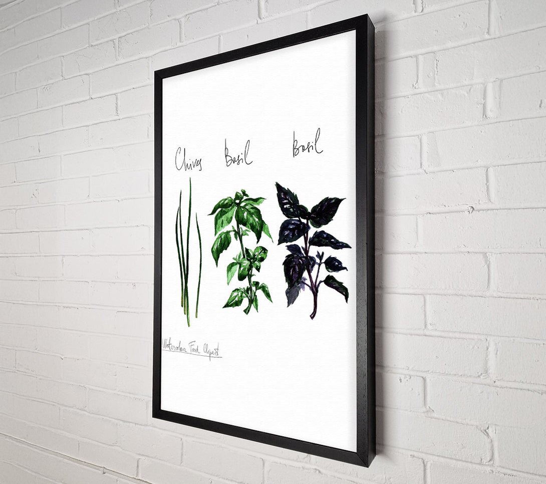  A Canvas Print of Herb Selection 4 Canvas Wall Art
