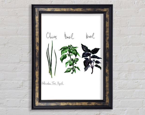 Herb Selection 4 Framed Print