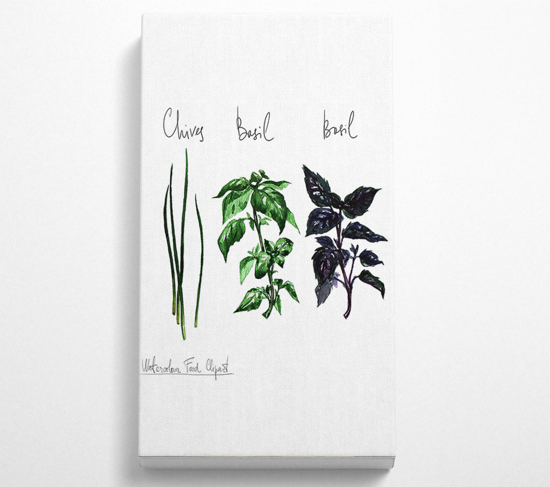 A Canvas Print of Herb Selection 4 Canvas Wall Art