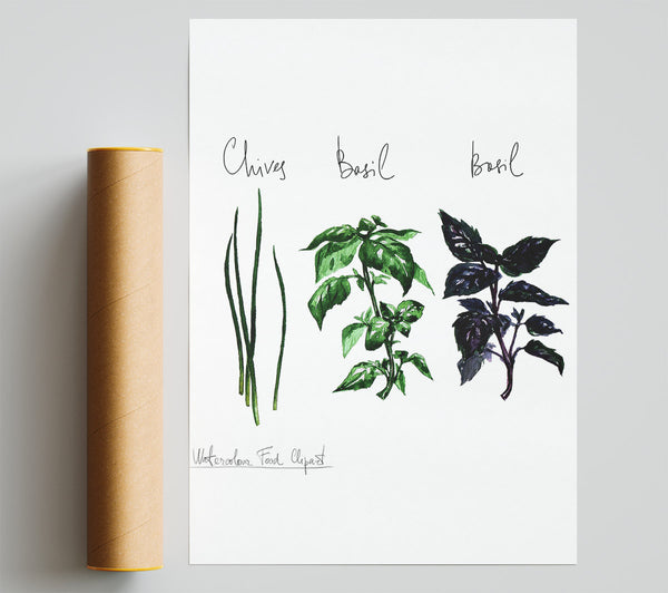 Herb Selection 4 Poster