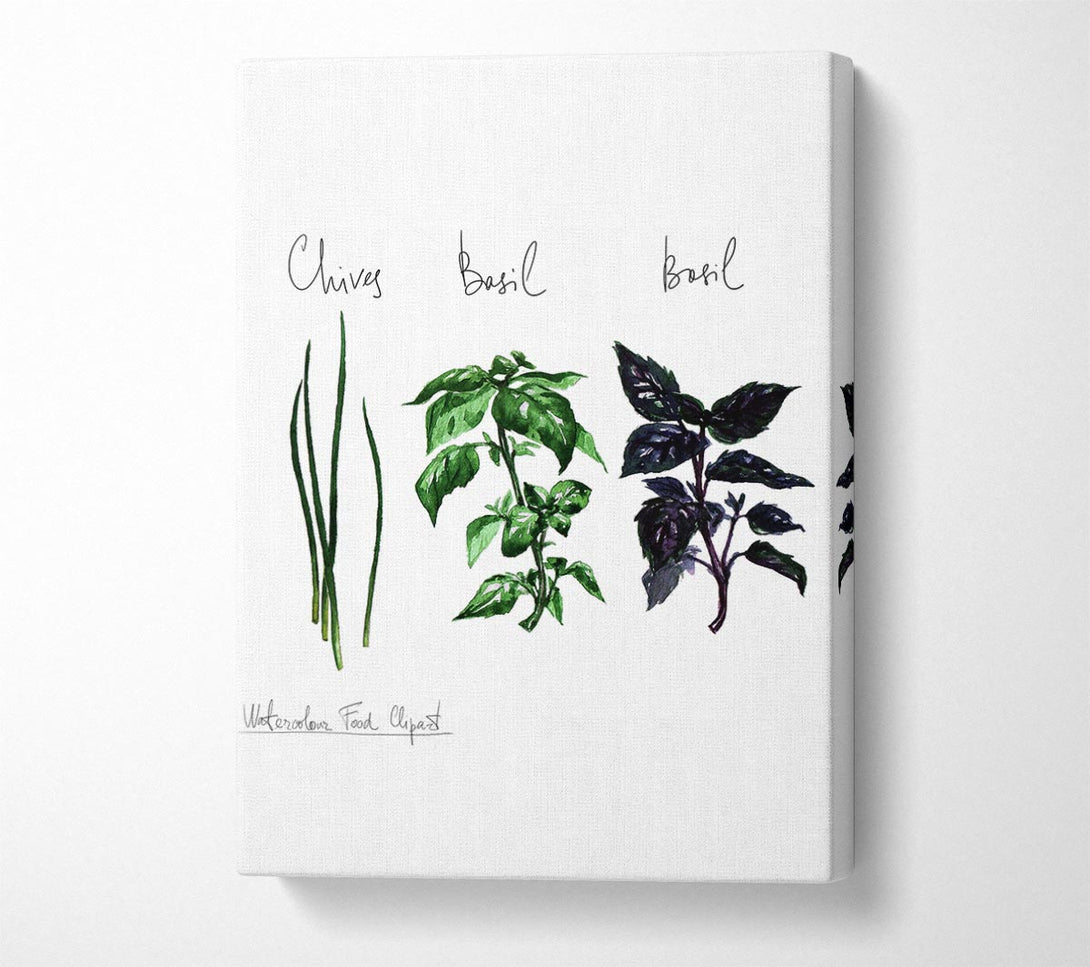  A Canvas Print of Herb Selection 4 Canvas Wall Art