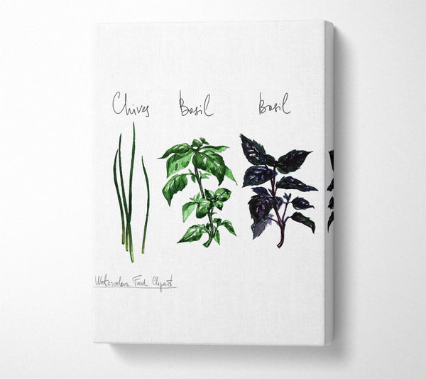  A Canvas Print of Herb Selection 4 Canvas Wall Art